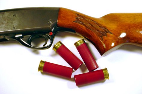 Clay Pigeon Shooting