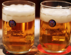 Prag Smagsoplevelse af ølmenu image 4