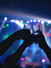 Privat barguide m. 3 shots og 1 flaske sprit Hamborg