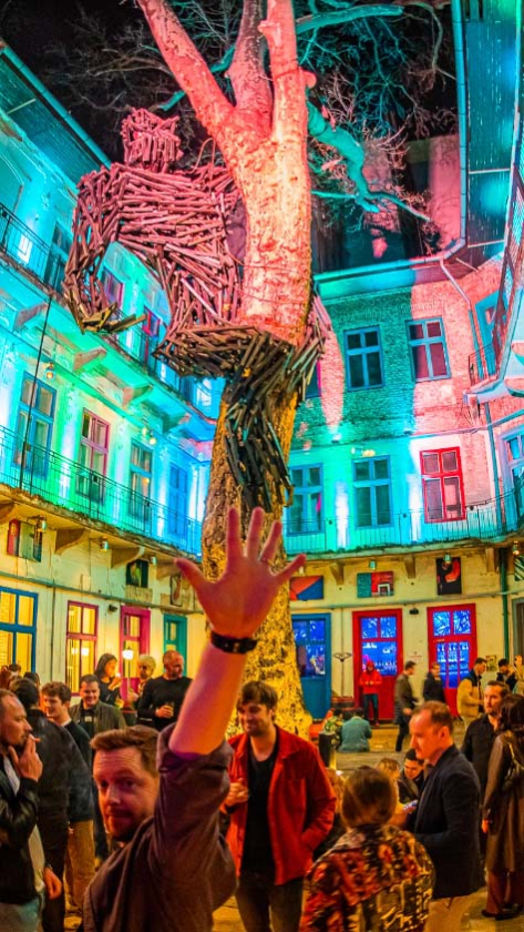 Nightclub Entry (Doboz) With 1 Beer and 1 Shot