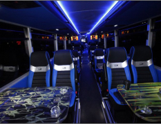 Prag Partybus image 4