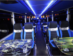 Prag Partybus image 3
