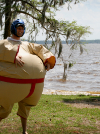 Fed, federe sumobrydning København