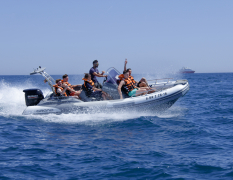 Barcelona Bananbåd image 3