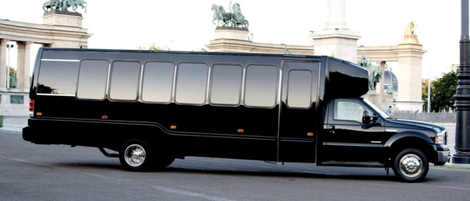 Budapest Diskotek på Hjul image 1