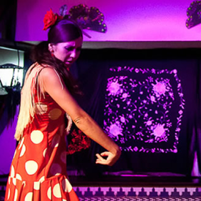 flamenco-show-barcelona-1.jpg image 1