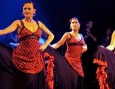 Barcelona Flamenco Show og Middag image 3